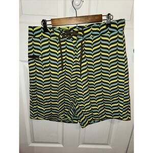 Patagonia Men’s Swim Trunks Linerless Size 32 Green Blue Geometric Print 11 Inch